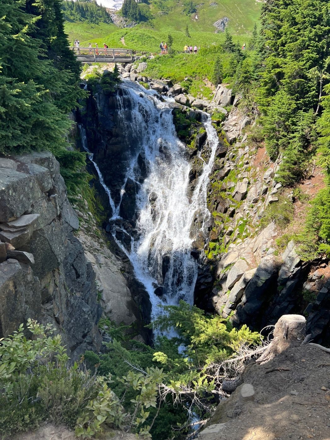 Waterfall surrounded by greenery